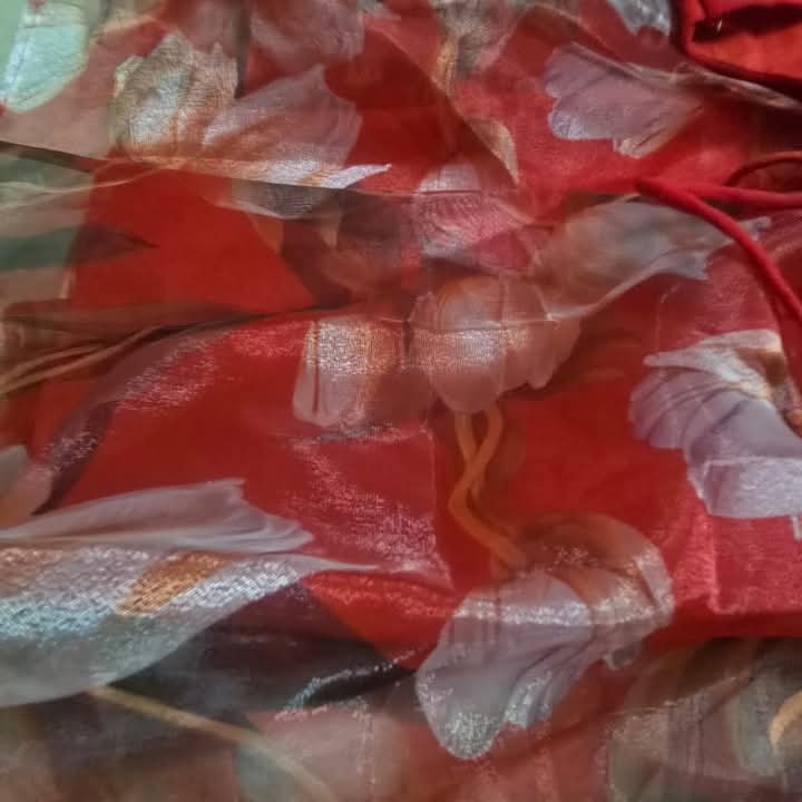 Image #1 from Saranya Srinivas