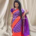 Peacock Fantasy 2 in 1 Saree Gown