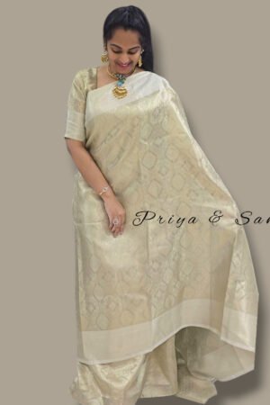Nayans Grace 2 in 1 Saree Gown