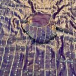 Shimmer Tales Party Wear Saree