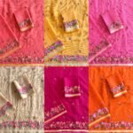 Neeravi Kota Feather Saree